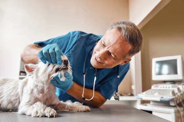 Best Weekend Emergency Dentist in Seminole, OK